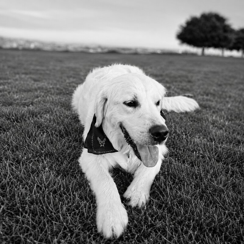 Cooper